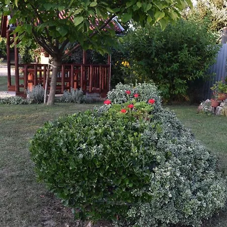 Prokop Vendeghaz Tolcsva