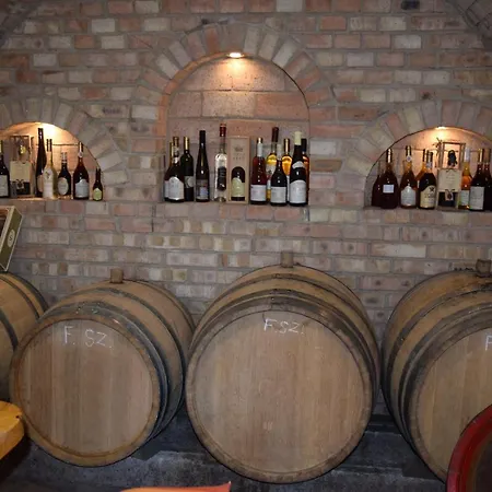 Πανσιόν Prokop Vendeghaz 3*