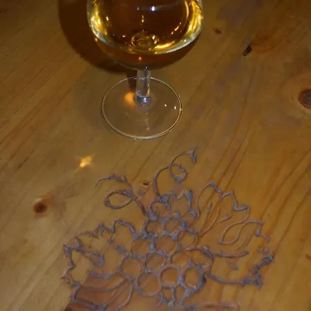 Prokop Vendeghaz Πανσιόν